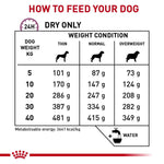 Load image into Gallery viewer, Royal Canin Mobility Support Dry Food for Dogs