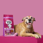Load image into Gallery viewer, Barking Heads All Hounder Golden Years Chicken