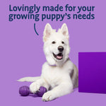 Load image into Gallery viewer, Barking Heads Big Foot Puppy Days