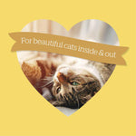 Load image into Gallery viewer, Burgess Adult Cat Rich in Chicken with Duck