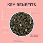 Load image into Gallery viewer, Burgess Adult Cat Rich in Salmon