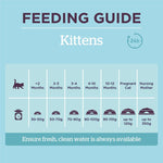 Load image into Gallery viewer, Burgess Kitten with Chicken