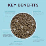 Load image into Gallery viewer, Burgess Kitten with Chicken