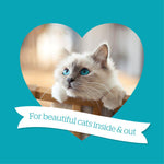 Load image into Gallery viewer, Burgess Neutered Cat with Chicken