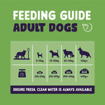 Load image into Gallery viewer, Burgess Sensitive Adult Dog Lamb