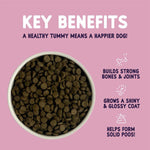 Load image into Gallery viewer, Burgess Sensitive Adult Dog Salmon