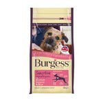 Load image into Gallery viewer, Burgess Sensitive Adult Dog Salmon