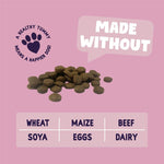 Load image into Gallery viewer, Burgess Sensitive Adult Dog Salmon