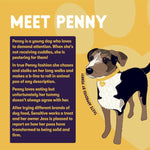 Load image into Gallery viewer, Burgess Sensitive Adult Dog Turkey