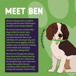 Load image into Gallery viewer, Burgess Sensitive Adult Dog Lamb