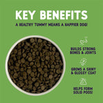 Load image into Gallery viewer, Burgess Sensitive Adult Dog Lamb