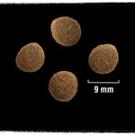 Load image into Gallery viewer, CRAVE Adult Beef and Chicken Dry Cat Food