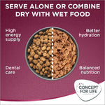 Load image into Gallery viewer, Concept for Life All Cats 10+