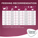 Load image into Gallery viewer, Concept for Life All Cats 10+