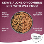 Load image into Gallery viewer, Concept for Life All Cats