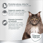 Load image into Gallery viewer, Concept for Life Beauty Paste