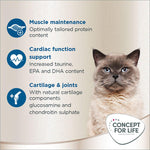 Load image into Gallery viewer, Concept for Life British Shorthair Adult