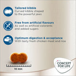 Load image into Gallery viewer, Concept for Life British Shorthair Adult