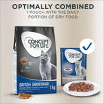 Load image into Gallery viewer, Concept for Life British Shorthair Adult