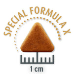 Load image into Gallery viewer, Concept for Life Economy Packs