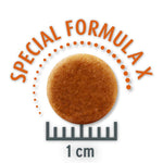 Load image into Gallery viewer, Concept for Life Economy Packs