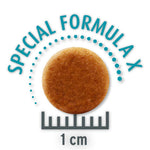 Load image into Gallery viewer, Concept for Life Economy Packs