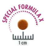 Load image into Gallery viewer, Concept for Life Economy Packs