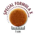 Load image into Gallery viewer, Concept for Life Economy Packs