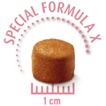 Load image into Gallery viewer, Concept for Life Economy Packs