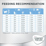 Load image into Gallery viewer, Concept for Life Light Adult