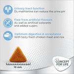 Load image into Gallery viewer, Concept for Life Light Adult