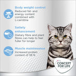 Load image into Gallery viewer, Concept for Life Light Adult