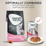 Load image into Gallery viewer, Concept for Life Maine Coon Kitten