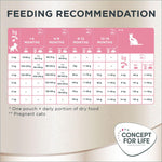 Load image into Gallery viewer, Concept for Life Maine Coon Kitten