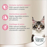 Load image into Gallery viewer, Concept for Life Maine Coon Kitten