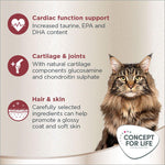 Load image into Gallery viewer, Concept for Life Maine Coon Adult
