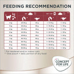 Load image into Gallery viewer, Concept for Life Maine Coon Adult Salmon - Grain-Free