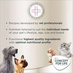 Load image into Gallery viewer, Concept for Life Maine Coon Kitten