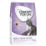 Load image into Gallery viewer, Concept for Life Mum and Young Kittens
