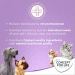 Load image into Gallery viewer, Concept for Life Mum and Young Kittens