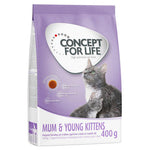 Load image into Gallery viewer, Concept for Life Mum and Young Kittens