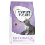Load image into Gallery viewer, Concept for Life Mum and Young Kittens