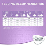 Load image into Gallery viewer, Concept for Life Mum and Young Kittens