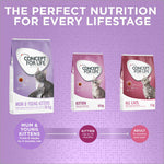 Load image into Gallery viewer, Concept for Life Mum and Young Kittens