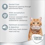 Load image into Gallery viewer, Concept for Life Oral Care