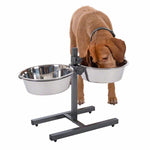 Load image into Gallery viewer, Dog Bowl Stand with 2 Stainless Steel Bowls