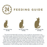 Load image into Gallery viewer, Encore Cat Chicken