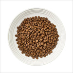 Load image into Gallery viewer, Encore Cat Chicken