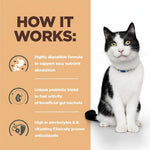 Load image into Gallery viewer, Hill's Prescription Diet ID Tins for Cats