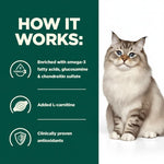 Load image into Gallery viewer, Cat sitting next to a green panel with text about product benefits on a white background